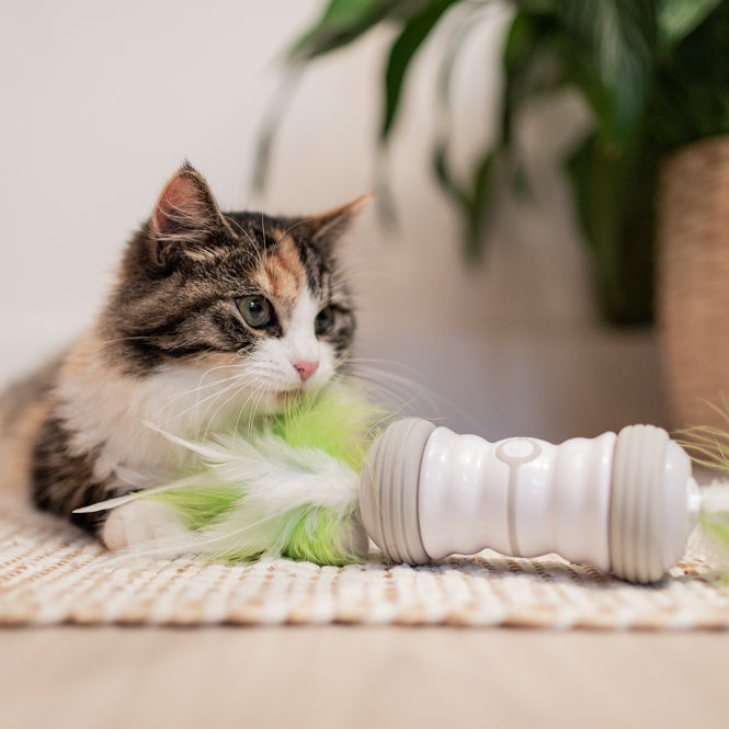 Beschäftigungsspielzeug für Katzen – Cat Toy Double Spinner, weiß/grün – Bild 3