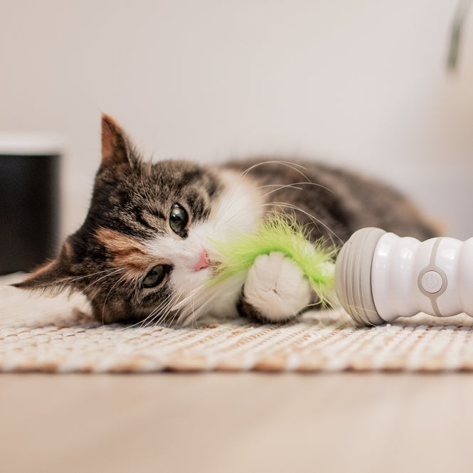 Beschäftigungsspielzeug für Katzen – Cat Toy Double Spinner, weiß/grün – Bild 4