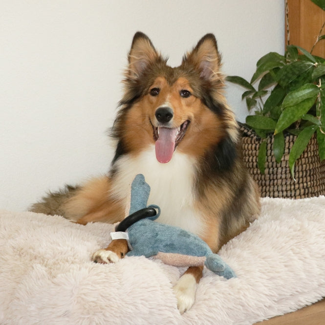 Plüschspielzeug für Hunde – Navy Chenille, blau – Bild 3