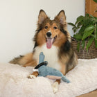 Plüschspielzeug für Hunde – Navy Chenille, blau – Bild 3