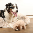 Plüschspielzeug für Hunde – Banjo Teddystoff – Bild 3