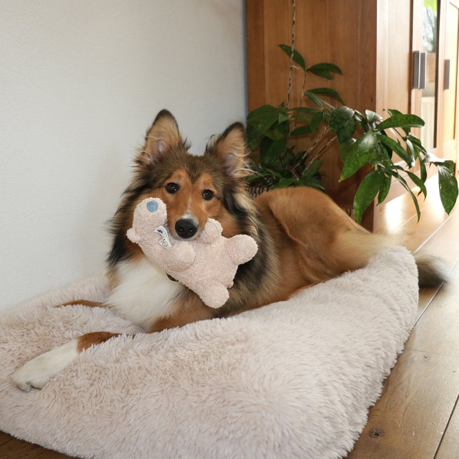 Plüschspielzeug für Hunde – Banjo Teddystoff – Bild 4