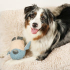 Plüschspielzeug für Hunde – Isla Chenille, blau – Bild 5