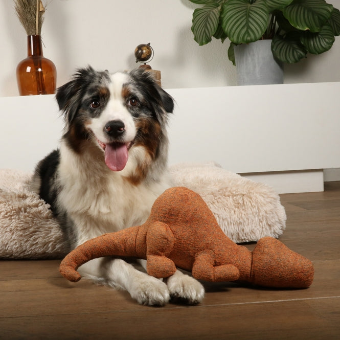 Plüschspielzeug für Hunde – Quasi Chenille, braun – Bild 4