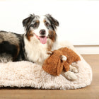 Plüschspielzeug für Hunde – Emmy Teddystoff, braun – Bild 3