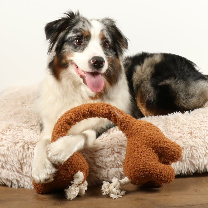 Plüschspielzeug für Hunde – George Teddystoff – Bild 3