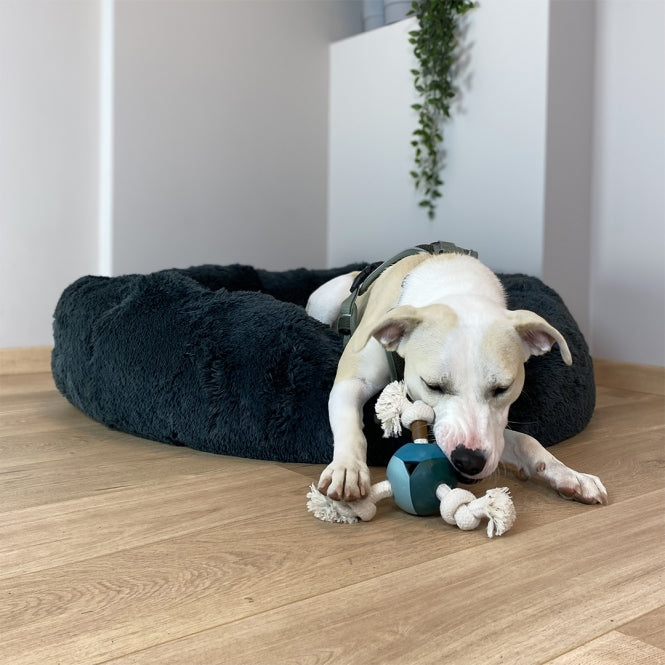 Wurfspielzeug für Hunde – Levi, lagoon – Bild 4
