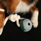Wurfspielzeug für Hunde – Nora, lagoon – Bild 4