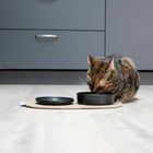 Katzennapf – flacher Jasper – Bild 2
