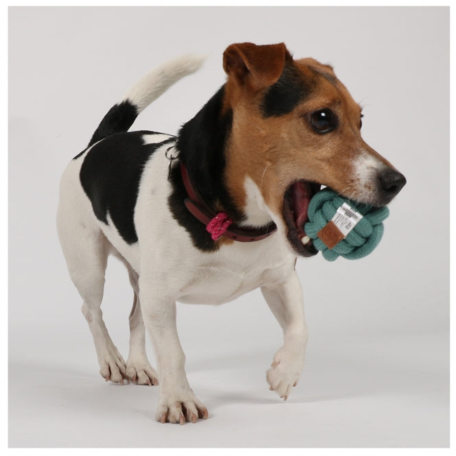 Knotenball für Hunde – Skip – Bild 2