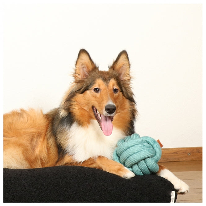Knotenball für Hunde – Skip – Bild 10