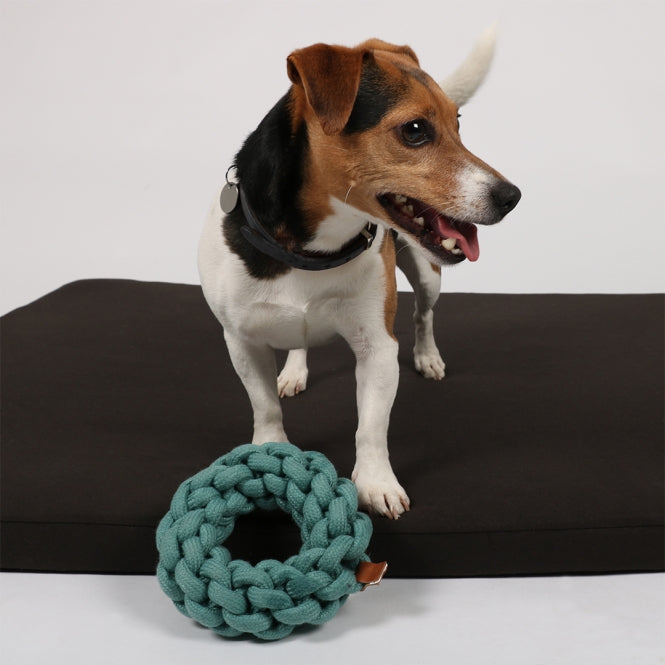 Baumwollring für Hunde – Ben – Bild 2