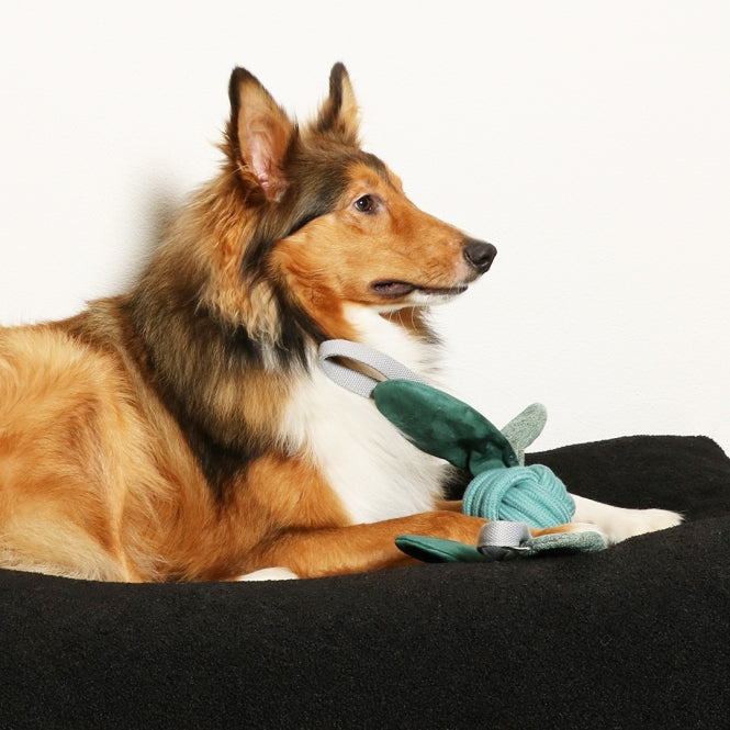 Baumwolll-Spielzeug für Hunde – Jule – Bild 3
