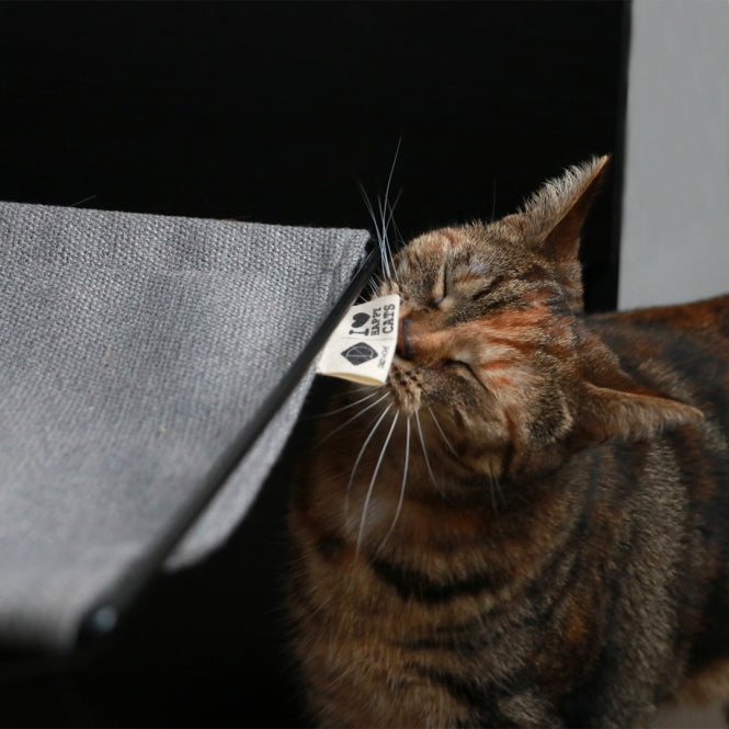 Heizkörper-Hängematte für Katzen – Bett- und Oliver, grau – Bild 6