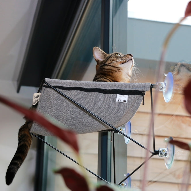 Fenster-Hängematte für Katzen – Olivia, grau – Bild 4