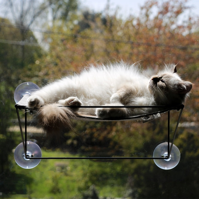 Fenster-Hängematte für Katzen – Olivia, grau – Bild 5