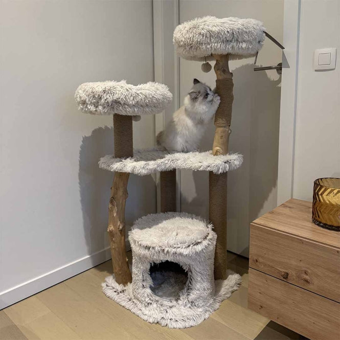 Kratzbaum für Katzen – Marseille – Bild 5