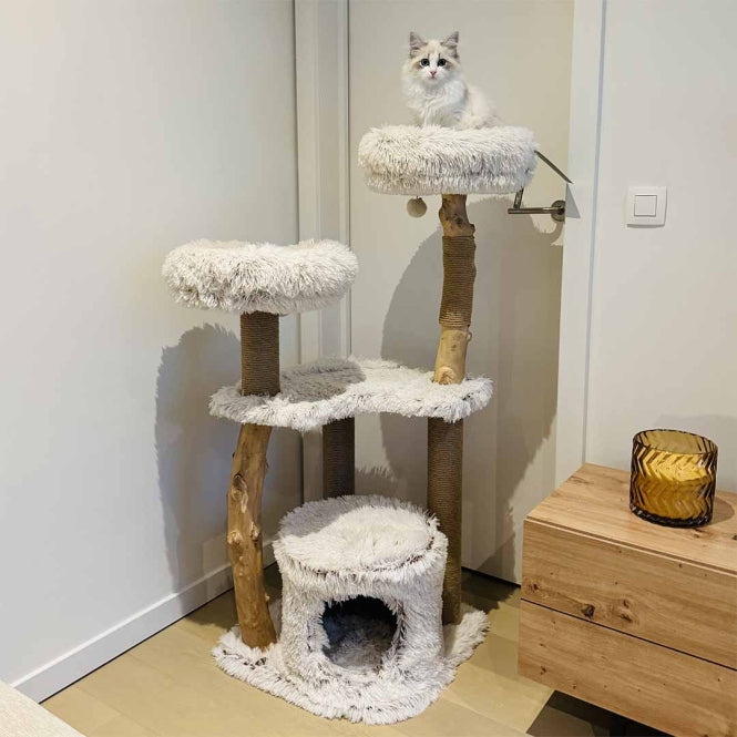 Kratzbaum für Katzen – Marseille – Bild 2