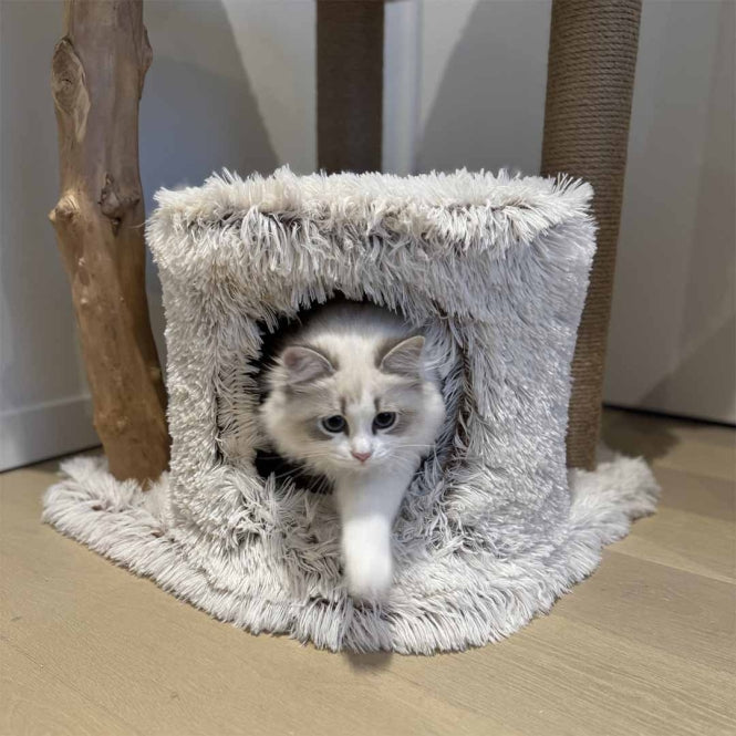 Kratzbaum für Katzen – Marseille – Bild 3