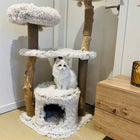 Kratzbaum für Katzen – Marseille – Bild 4