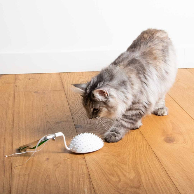 Spielmaus für Katzen – Cat Toy Mouse on the move – Bild 5