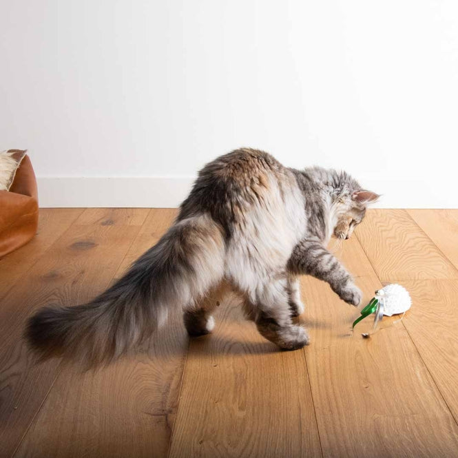 Spielmaus für Katzen – Cat Toy Mouse on the move – Bild 6