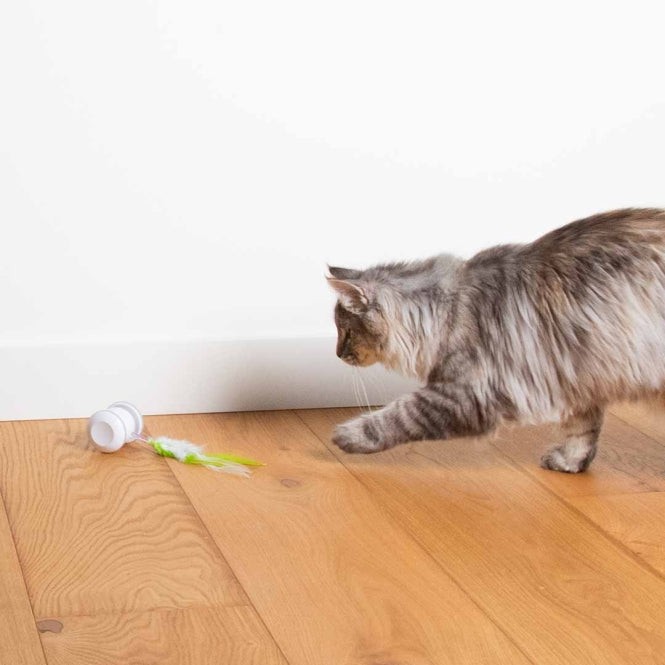 Beschäftigungsspielzeug für Katzen – Cat Toy Racing Roller – Bild 5