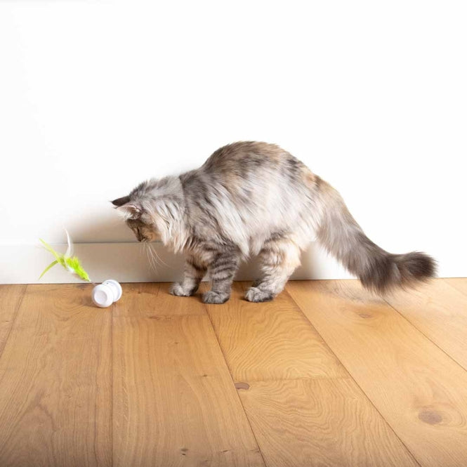 Beschäftigungsspielzeug für Katzen – Cat Toy Racing Roller – Bild 6