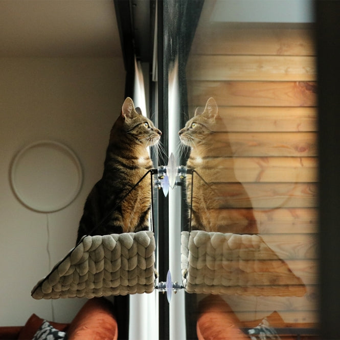 Fensterbett für Katzen – Sofia – Bild 4
