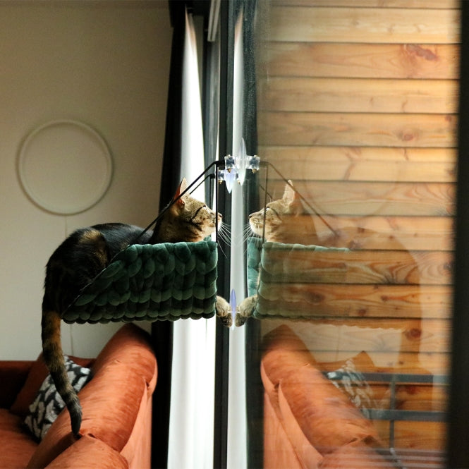 Fensterbett für Katzen – Sofia – Bild 2