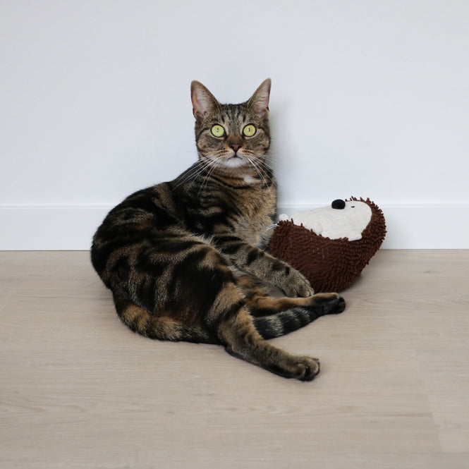 Tretkissen für Katzen – Spike – Bild 3