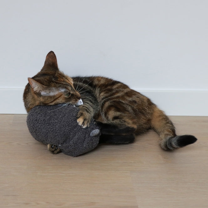 Tretkissen für Katzen – Molly – Bild 3