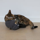 Tretkissen für Katzen – Molly – Bild 3