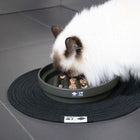 Anti-Schlingnapf für Katzen – „Irrgarten" SUE, grün – Bild 6