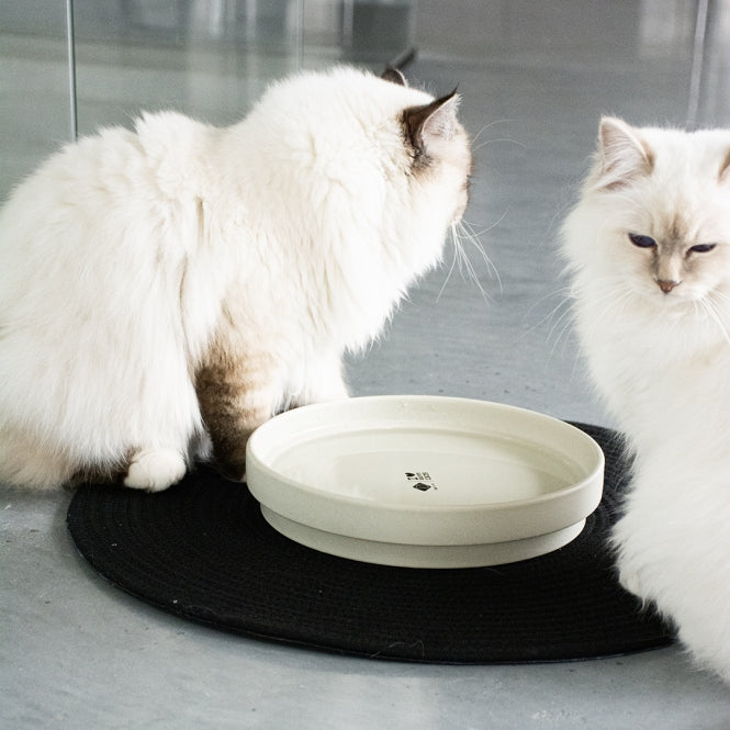 Trinknapf für Katzen – ACE – Bild 6