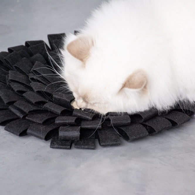 Schnüffelmatte für Katzen – SUZY, schwarz – Bild 2