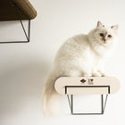 Kratzbrett für Katzen – Wandregal aus Pappe David – Bild 5