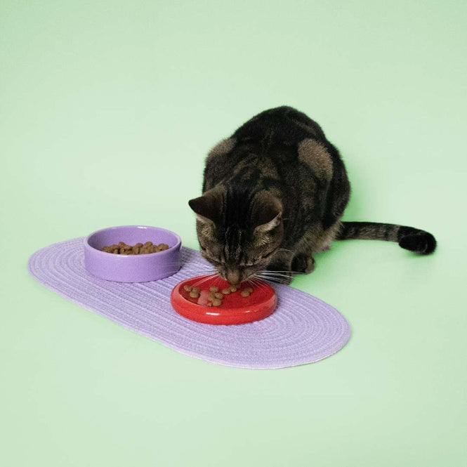 Futternapf für Katzen – Coockoo FUNKY FEEDING, rot/violett – Bild 5
