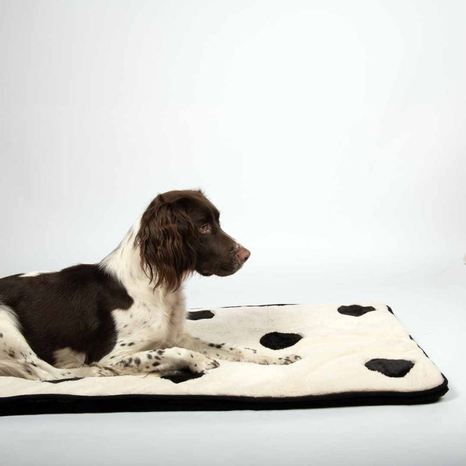 Hundedecke – Coockoo Domino Dream, 120x60cm – Bild 3