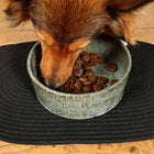 Napfunterlage für Hunde – Phil – Bild 4