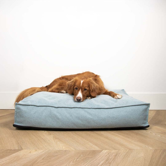Hundematratze – Eden – Bild 15