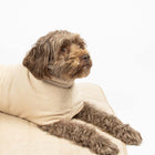 Badematte für Hunde – Noir Japandi beige – Bild 4