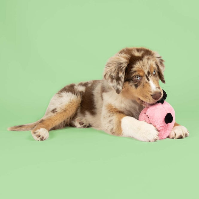 Plüschspielzeug für Hunde – Coockoo Bouncy Buddy – Bild 8