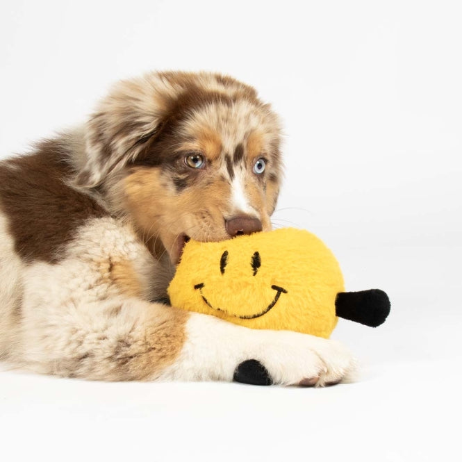Plüschspielzeug für Hunde – Coockoo Bouncy Buddy – Bild 2
