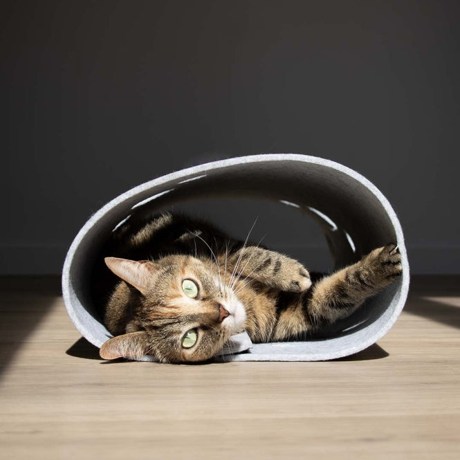 Spieltunnel für Katzen – Lana, grau – Bild 3