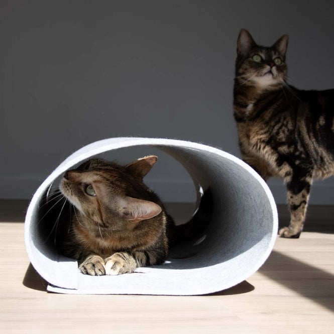 Spieltunnel für Katzen – Lana, grau – Bild 4