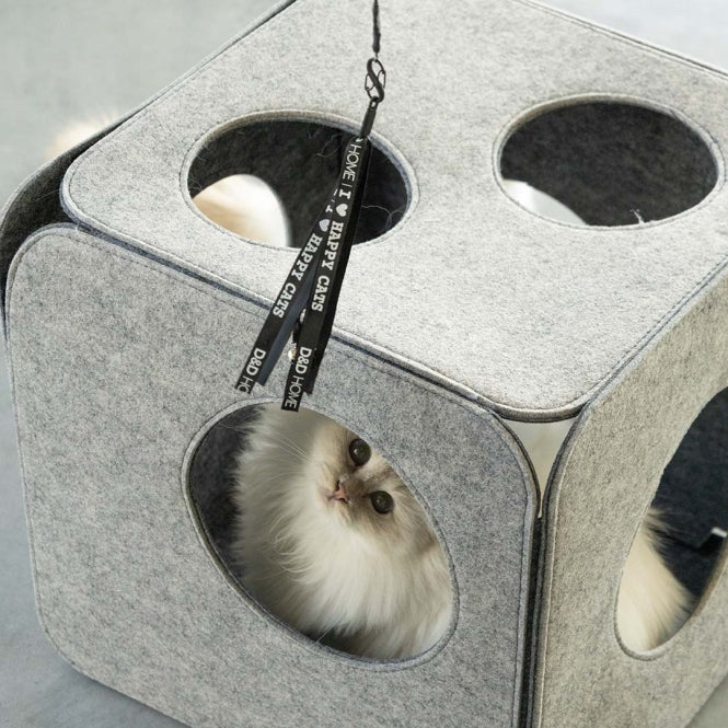 Spielangel für Katzen – Claire, schwarz – Bild 4