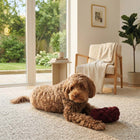 Seilspielzeug für Hunde – Teddy Roll BIBI – Bild 4