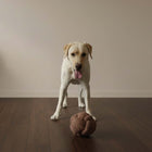 Seilspielzeug für Hunde – Teddy Ball PUCK – Bild 3