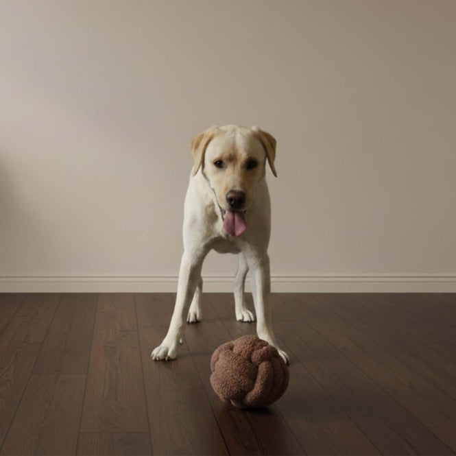 Seilspielzeug für Hunde – Teddy Ball PUCK – Bild 3